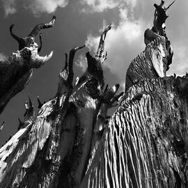 No One Here Gets Out Alive by Joe Schofield