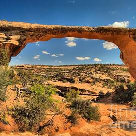 No Water Under The Bridge by Adam Jewell
