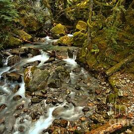 North Cascades Creek by Adam Jewell