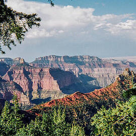 North Rim by Stacy Abbott
