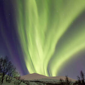 Northern Lights by Alaska Photography