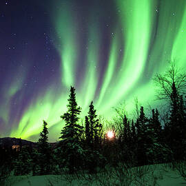 Northern Lights by Daniel A. Leifheit
