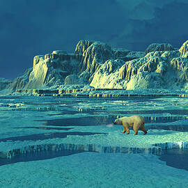 Northern Lights by Dieter Carlton