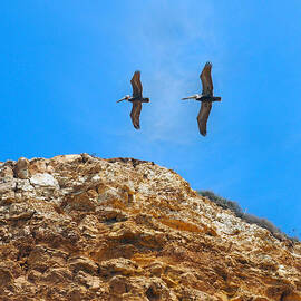 Nous Deux by Joe Schofield