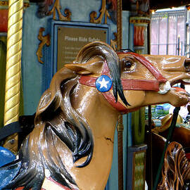 NYC - Horsing around in Bryant Park by Richard Reeve