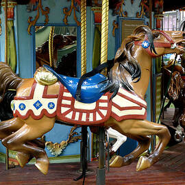 NYC - Old Glory Pony by Richard Reeve