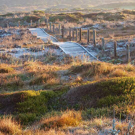 Ocean Boardwalk at Pebble Beach by Mary Lee Dereske