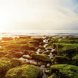 Ocean Sunset by Arand