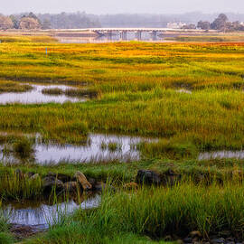 Odiorne Salt Marsh Misty Morning Light by Jeff Sinon