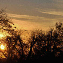 Oklahoma Sunset by Jeffrey Kolker