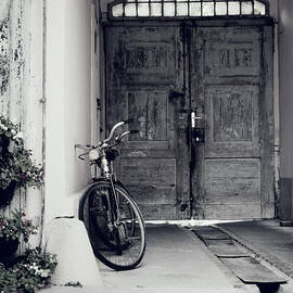 Old Bicycle by Jelena Jovanovic