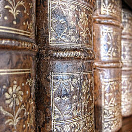 Old Knowledge by Olivier Le Queinec