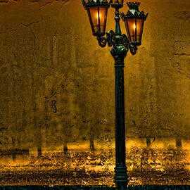 Old Lima Street Lamp by Mary Jo Allen
