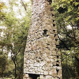 Old Man of the Woods by Richard Reeve
