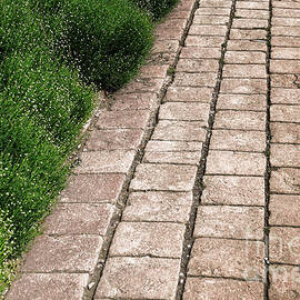 Old Pavers Alley by Olivier Le Queinec