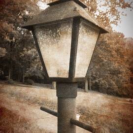 Old Street Lamp by Richard Reeve