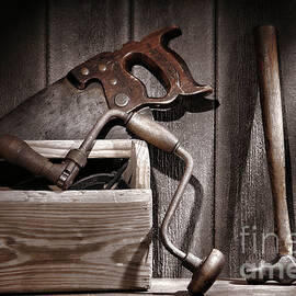 Old Tools by Olivier Le Queinec