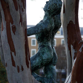 Old Town Alexandria - Brio 2 by Richard Reeve
