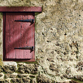 Old Wall and Door by Olivier Le Queinec