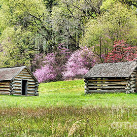 On a Hill at Valley Forge by Olivier Le Queinec