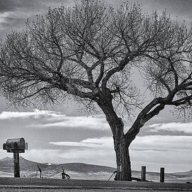 On the Road to Taos by Mary Lee Dereske