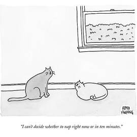 One Cat Speaks To Another Cat by Amy Hwang