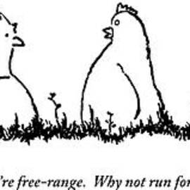 One Chicken Speaks To Several Others On A Patch by Michael Shaw