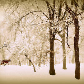 One Horse Open Sleigh by Jessica Jenney