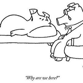 One Pig Lays On A Therapists Couch by Charles Barsotti
