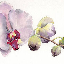 open up by Catherine Bede