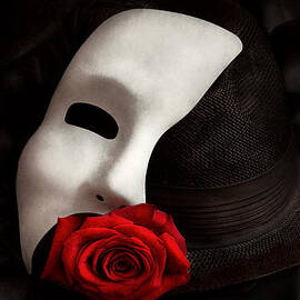 Opera - Mystery and The opera by Mike Savad