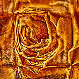 Orange Rose Abstract Macro Photography by Omaste Witkowski