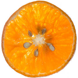 Orange Slice by Steve Gadomski