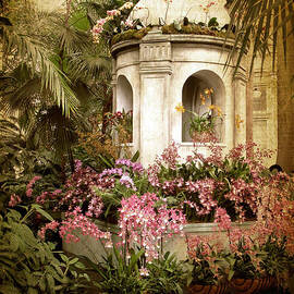 Orchid Exhibition by Jessica Jenney