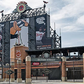 Oriole Park at Camden Yards by Susan Candelario