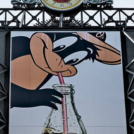 Orioles Mascot Drinks Coca Cola by Susan Candelario