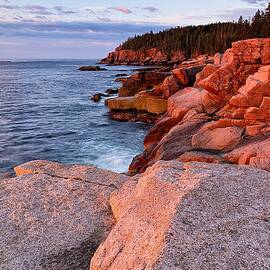 Otter Cliffs At First Light by Jeff Sinon