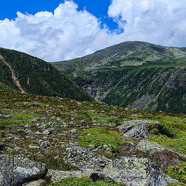 Overlooking Tuckerman by Jeff Sinon
