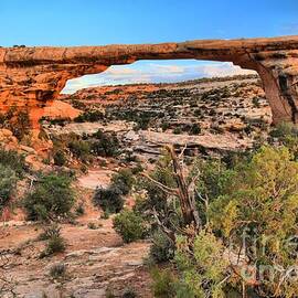 Owachomo Landscape by Adam Jewell