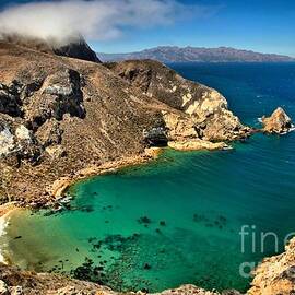 Pacific Ocean View by Adam Jewell