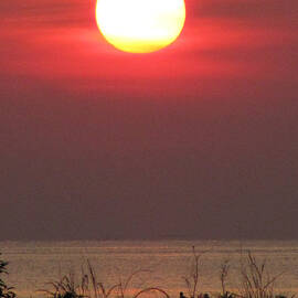Paddling Home by Richard Reeve