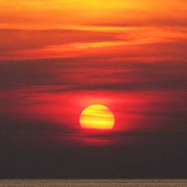 Paddling under the sun by Richard Reeve