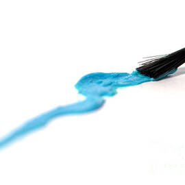 Paintbrush by Olivier Le Queinec