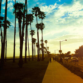 Palm Tree At Sunset On California - Usa by Franckreporter
