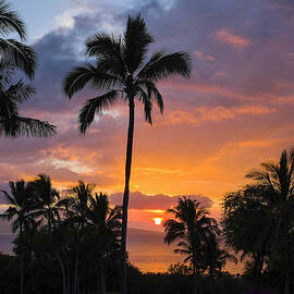 Palm Trees And Sunset On Maui by Alvis Upitis