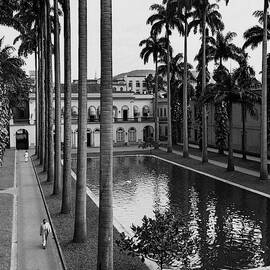 Palm Trees Bordering A Pool by Luis Lemus