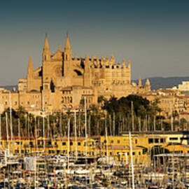 Palma Cathedral, Mallorca, Spain by Travelpix Ltd