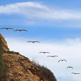 Palos Verdes Octet by Joe Schofield