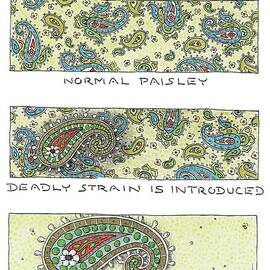 Panels Show The Progressive Development by John O'Brien