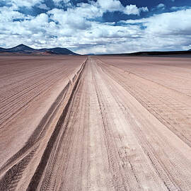 Panoramic View Of Bolivian Altiplano by Hadynyah